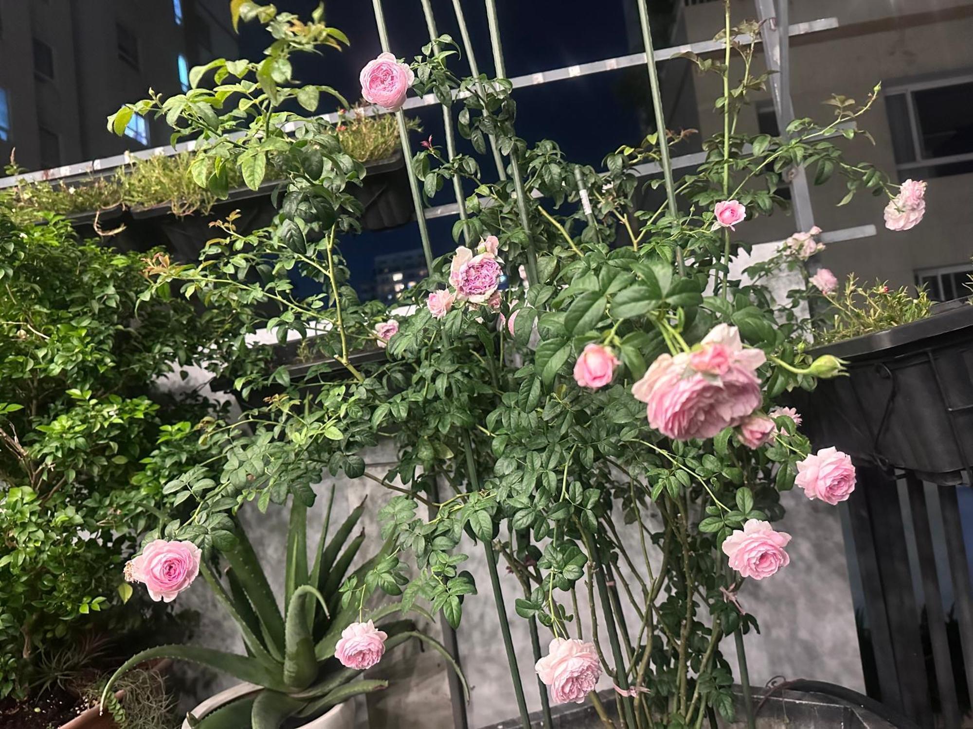 Homey Apartment 胡志明市 外观 照片